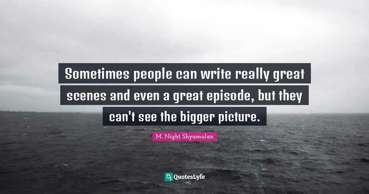 Bigger Picture Quotes: "Sometimes people can write really great scenes and even a great episode, but they can't see the bigger picture."