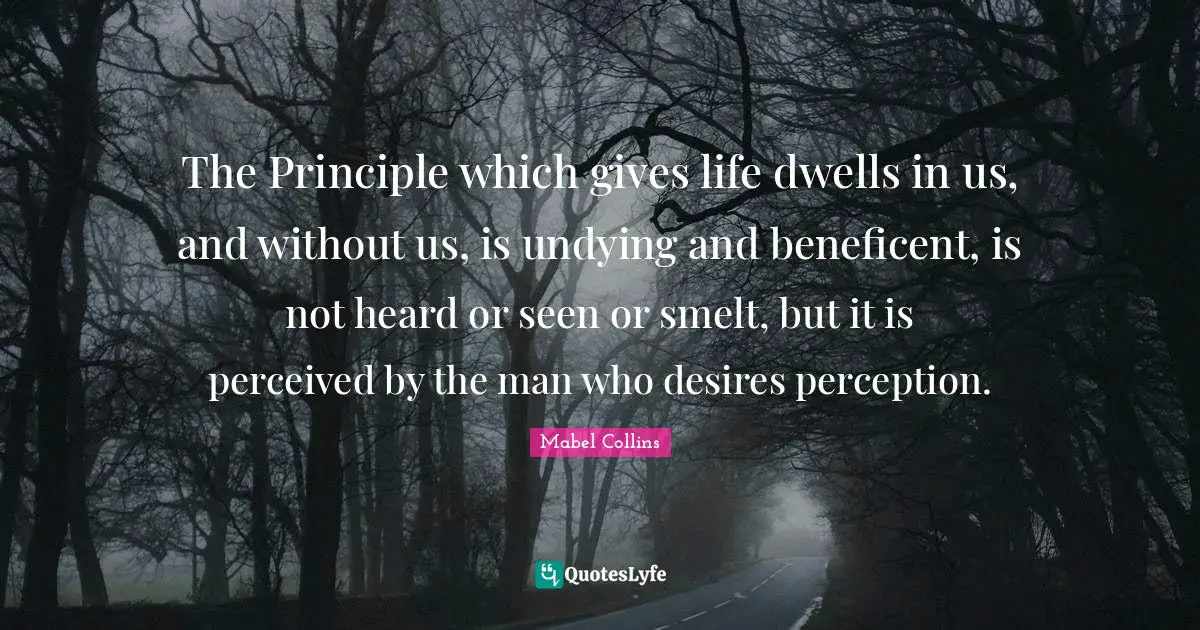 The Principle which gives life dwells in us, and without us, is undying and beneficent, is not heard or seen or smelt, but it is perceived by the man who desires perception.