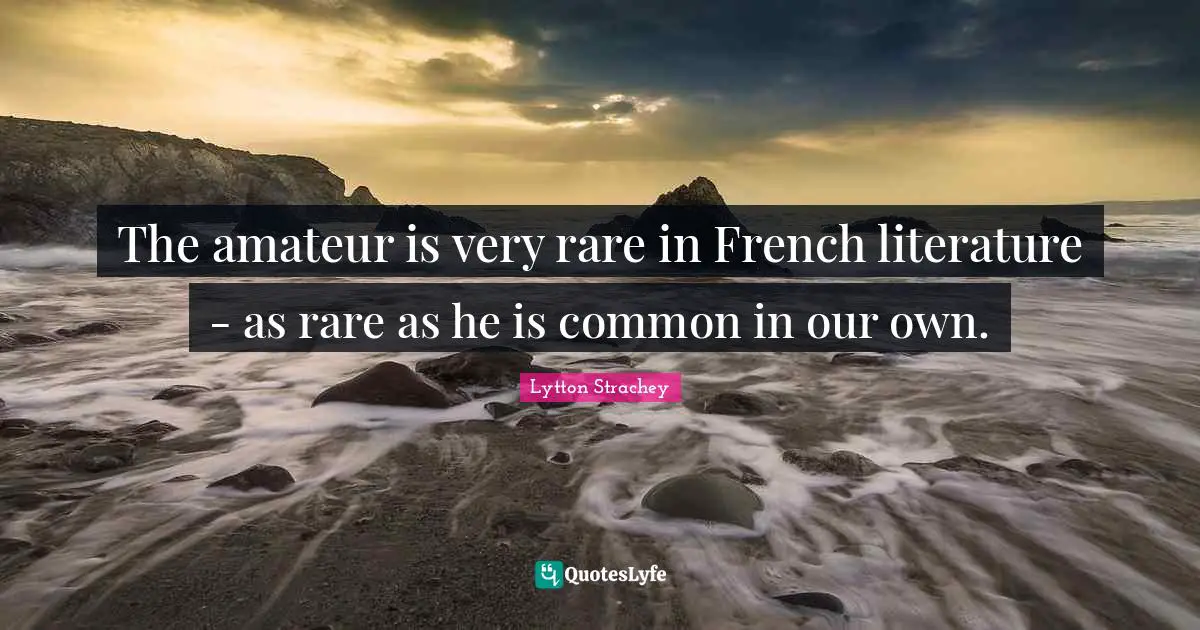 The amateur is very rare in French literature - as rare as he is common in our own.