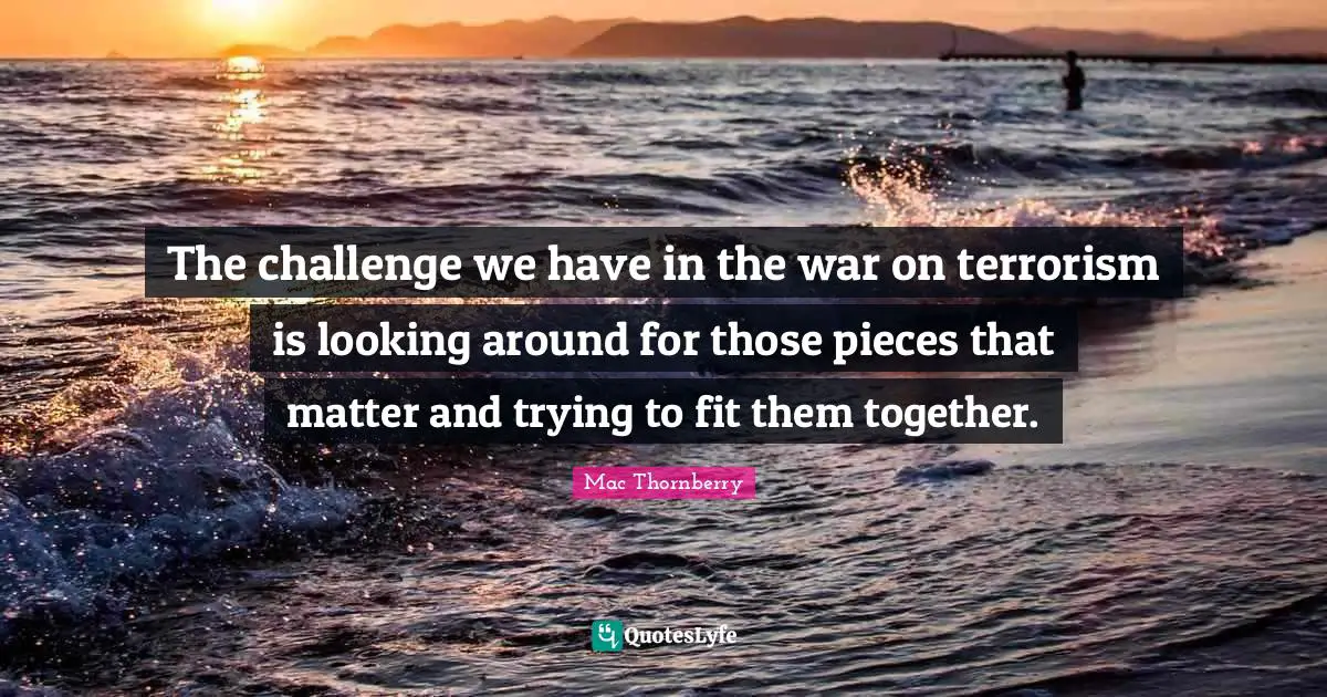 The challenge we have in the war on terrorism is looking around for those pieces that matter and trying to fit them together.