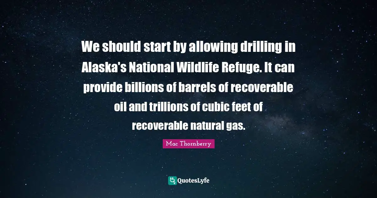 We should start by allowing drilling in Alaska's National Wildlife Refuge. It can provide billions of barrels of recoverable oil and trillions of cubic feet of recoverable natural gas.