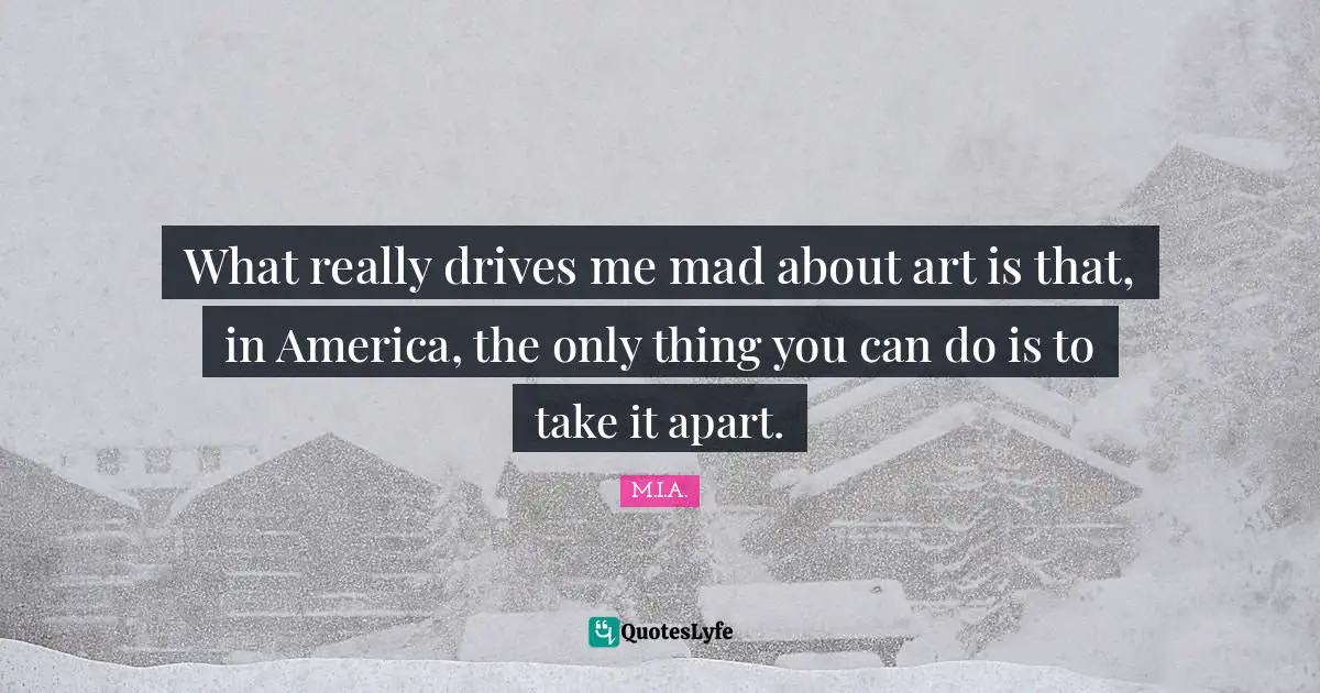 What really drives me mad about art is that, in America, the only thing you can do is to take it apart.