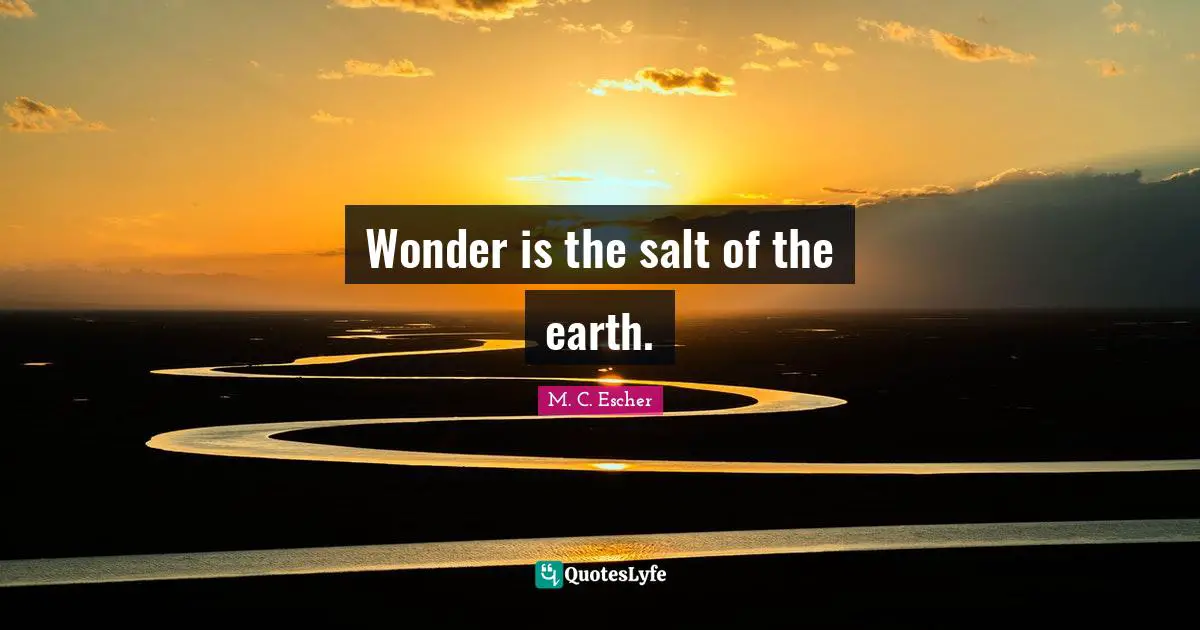 Wonder is the salt of the earth.