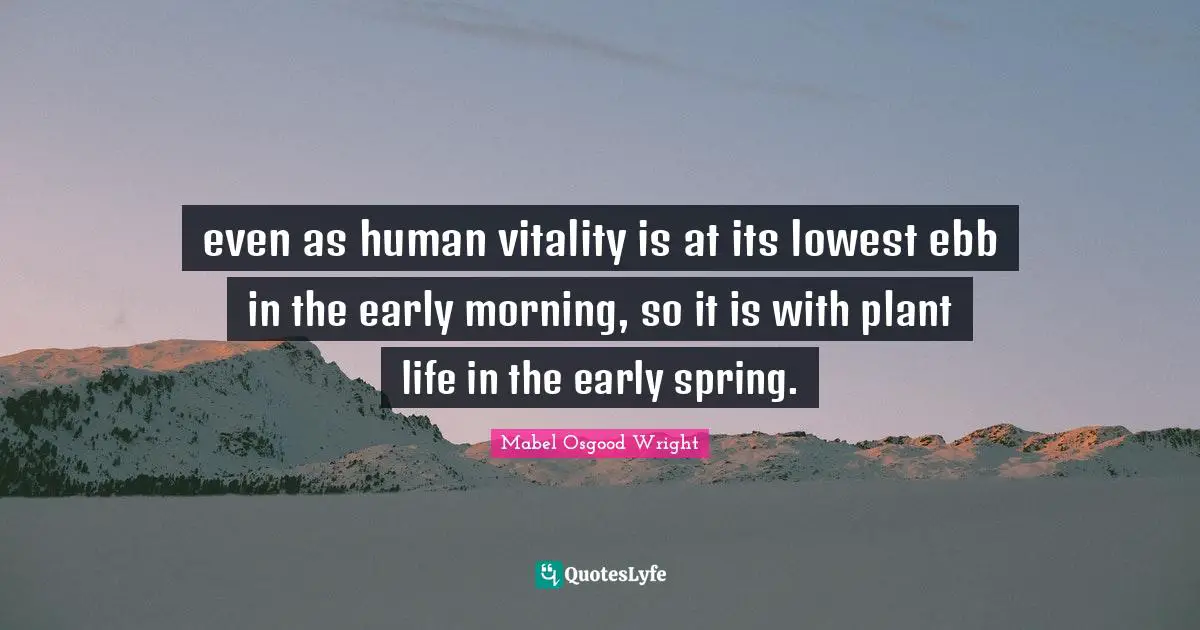 even as human vitality is at its lowest ebb in the early morning, so it is with plant life in the early spring.