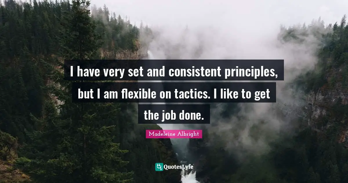 I have very set and consistent principles, but I am flexible on tactics. I like to get the job done.
