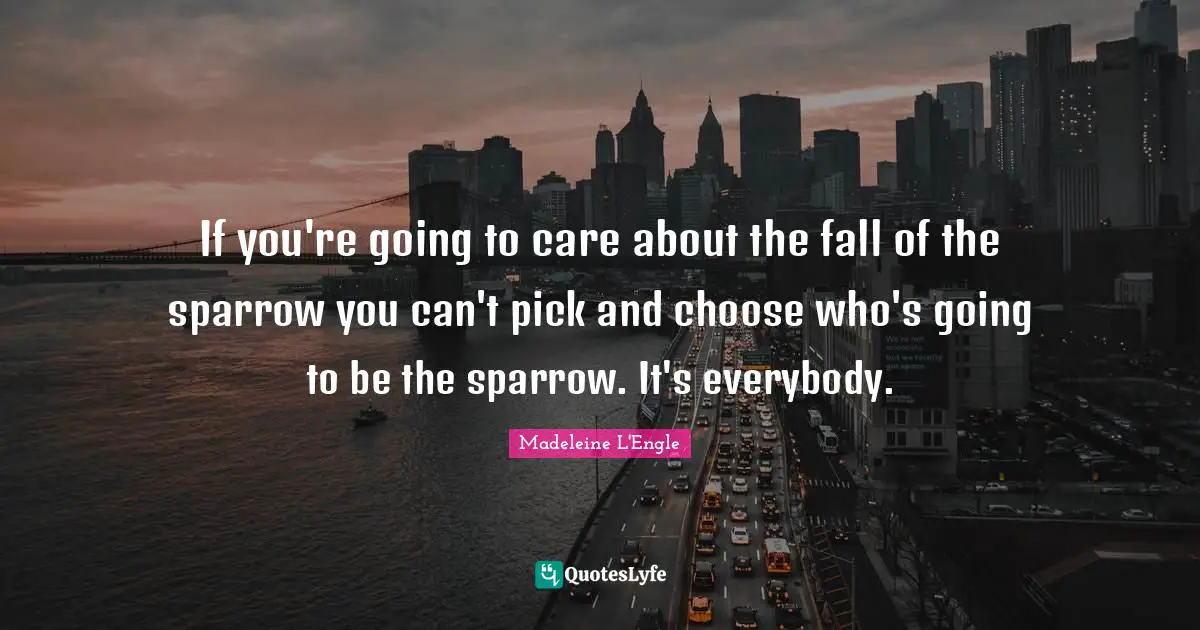 If you're going to care about the fall of the sparrow you can't pick and choose who's going to be the sparrow. It's everybody.