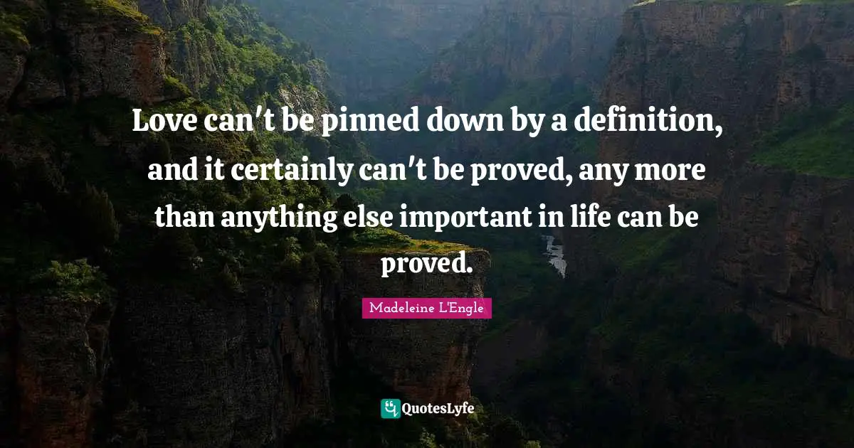 Love can't be pinned down by a definition, and it certainly can't be proved, any more than anything else important in life can be proved.