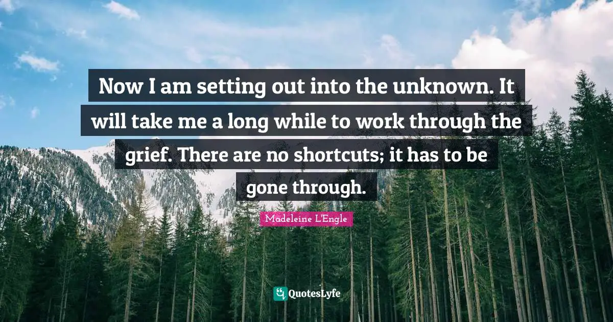 Now I am setting out into the unknown. It will take me a long while to work through the grief. There are no shortcuts; it has to be gone through.