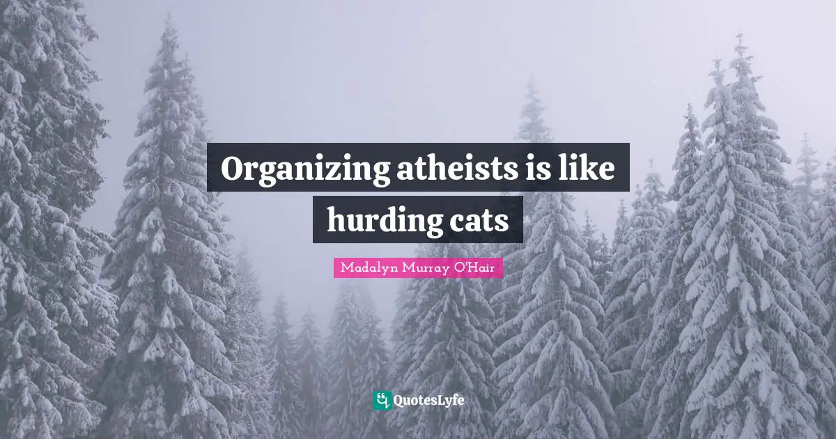 Organizing atheists is like hurding cats