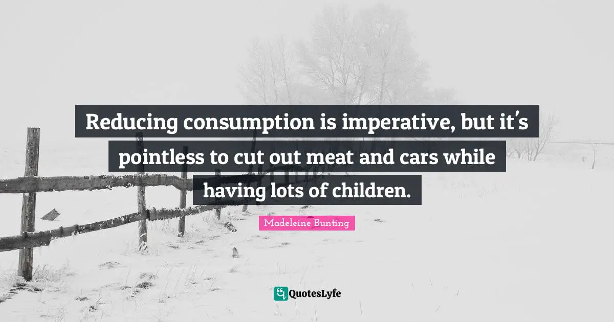 Reducing consumption is imperative, but it's pointless to cut out meat and cars while having lots of children.