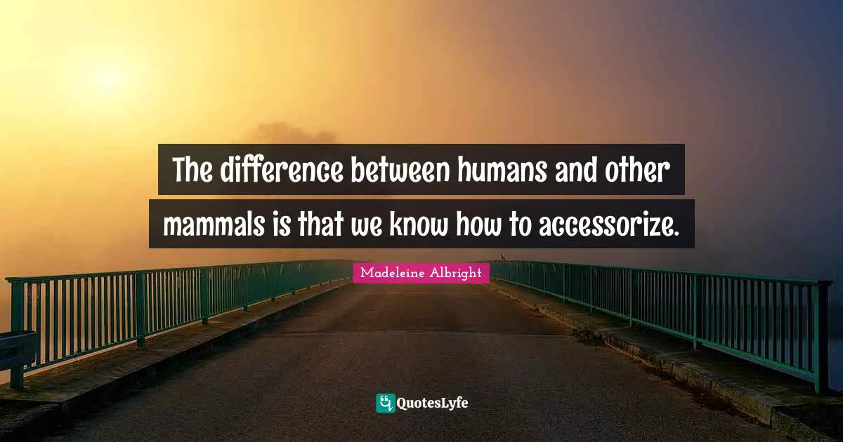 The difference between humans and other mammals is that we know how to accessorize.