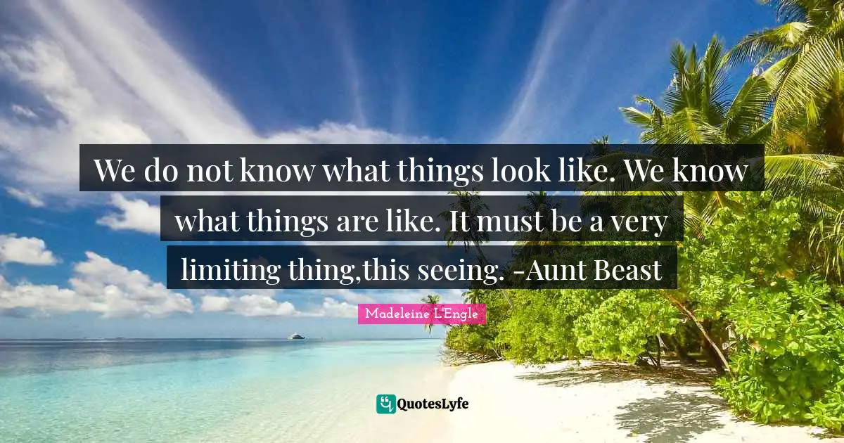 We do not know what things look like. We know what things are like. It must be a very limiting thing,this seeing. -Aunt Beast