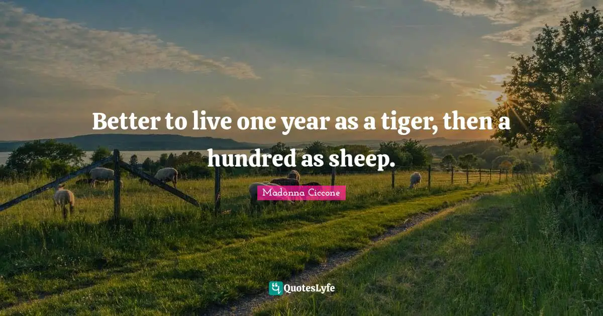 Madonna Ciccone Quotes: "Better to live one year as a tiger, then a hundred as sheep."