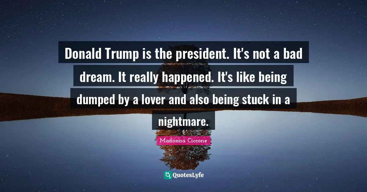 Donald Trump is the president. It's not a bad dream. It really happened. It's like being dumped by a lover and also being stuck in a nightmare.