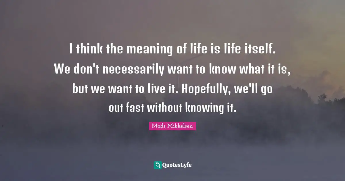 I think the meaning of life is life itself. We don't necessarily want to know what it is, but we want to live it. Hopefully, we'll go out fast without knowing it.