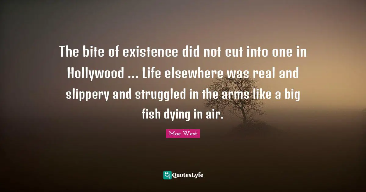 The bite of existence did not cut into one in Hollywood ... Life elsewhere was real and slippery and struggled in the arms like a big fish dying in air.