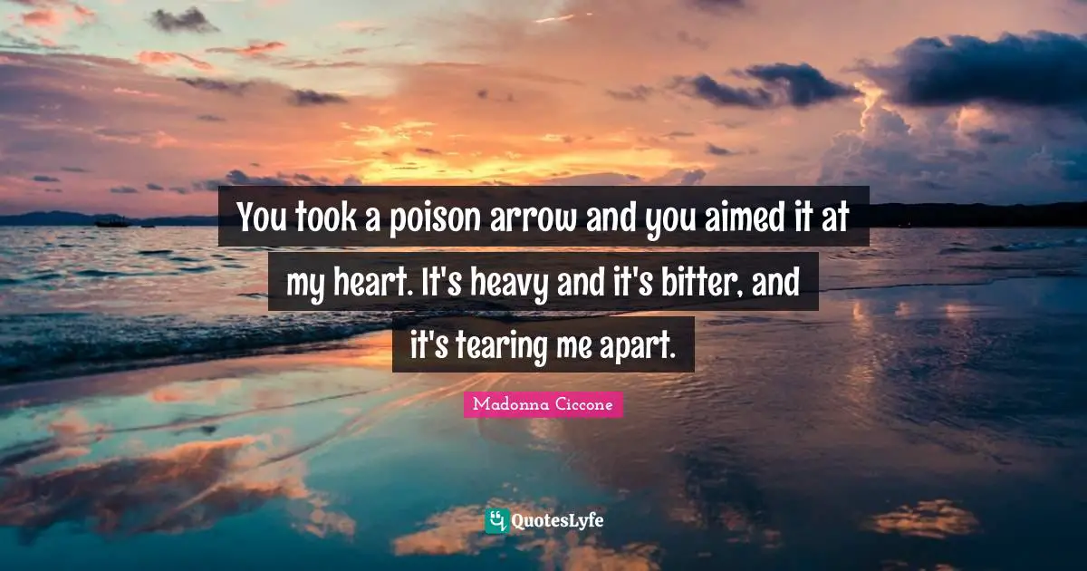 You took a poison arrow and you aimed it at my heart. It's heavy and it's bitter, and it's tearing me apart.