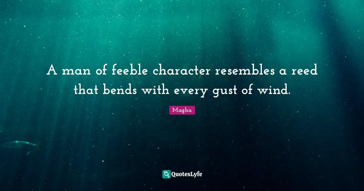 A man of feeble character resembles a reed that bends with every gust of wind.