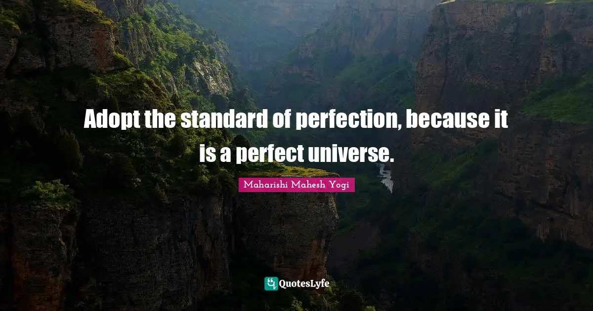 Adopt the standard of perfection, because it is a perfect universe.