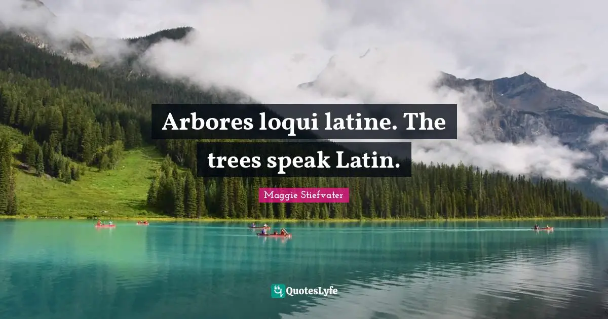 Arbores loqui latine. The trees speak Latin.