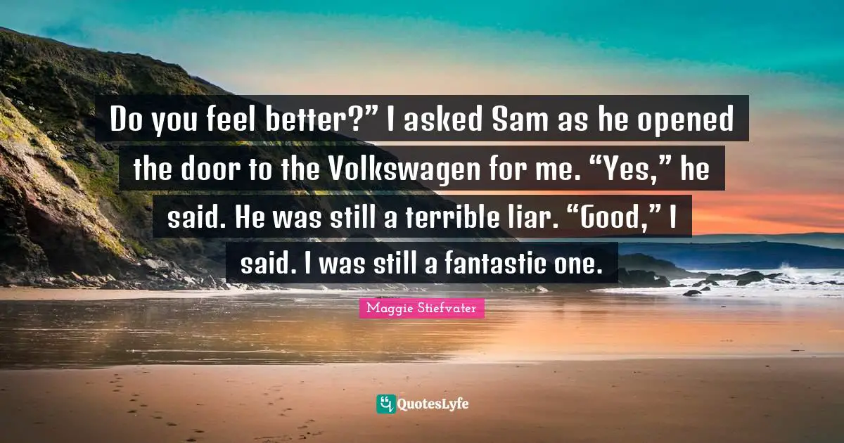 Do you feel better?” I asked Sam as he opened the door to the Volkswagen for me. “Yes,” he said. He was still a terrible liar. “Good,” I said. I was still a fantastic one.