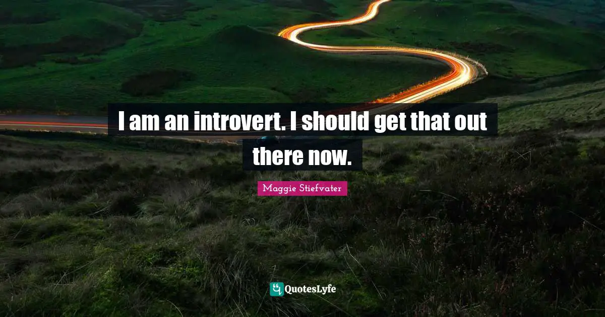 I am an introvert. I should get that out there now.