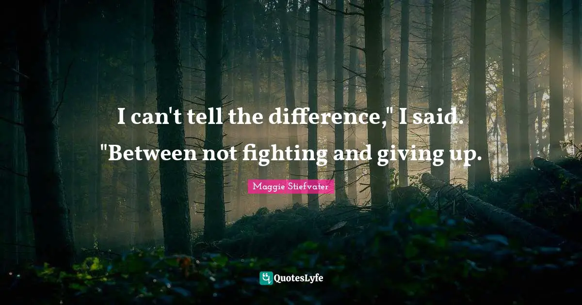 I can't tell the difference," I said. "Between not fighting and giving up.