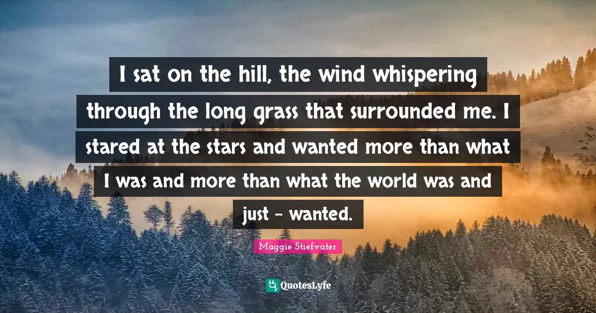 Long Grass Quotes: "I sat on the hill, the wind whispering through the long grass that surrounded me. I stared at the stars and wanted more than what I was and more than what the world was and just - wanted."