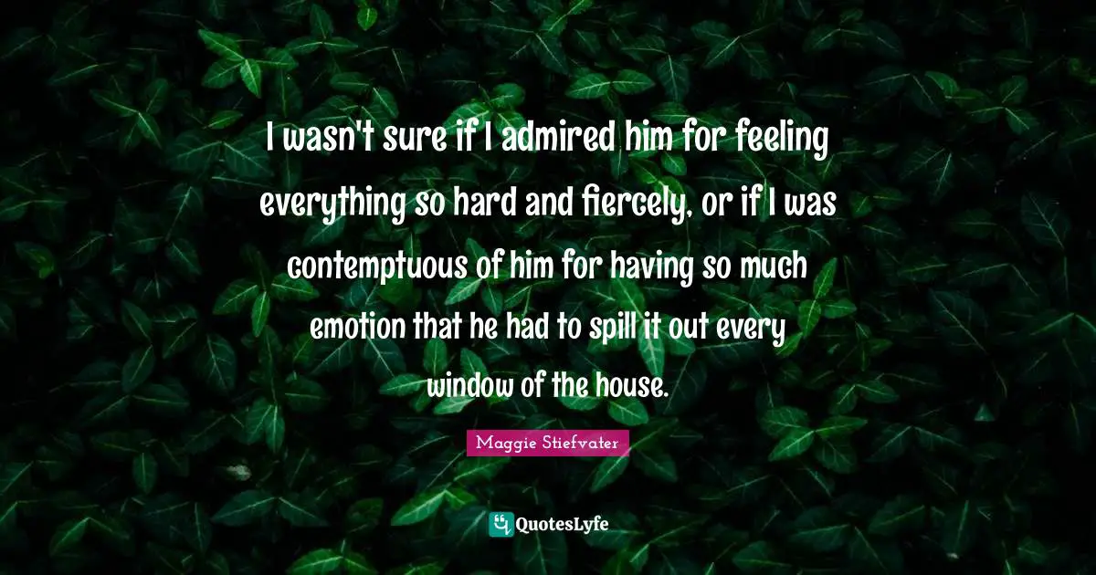 I wasn't sure if I admired him for feeling everything so hard and fiercely, or if I was contemptuous of him for having so much emotion that he had to spill it out every window of the house.