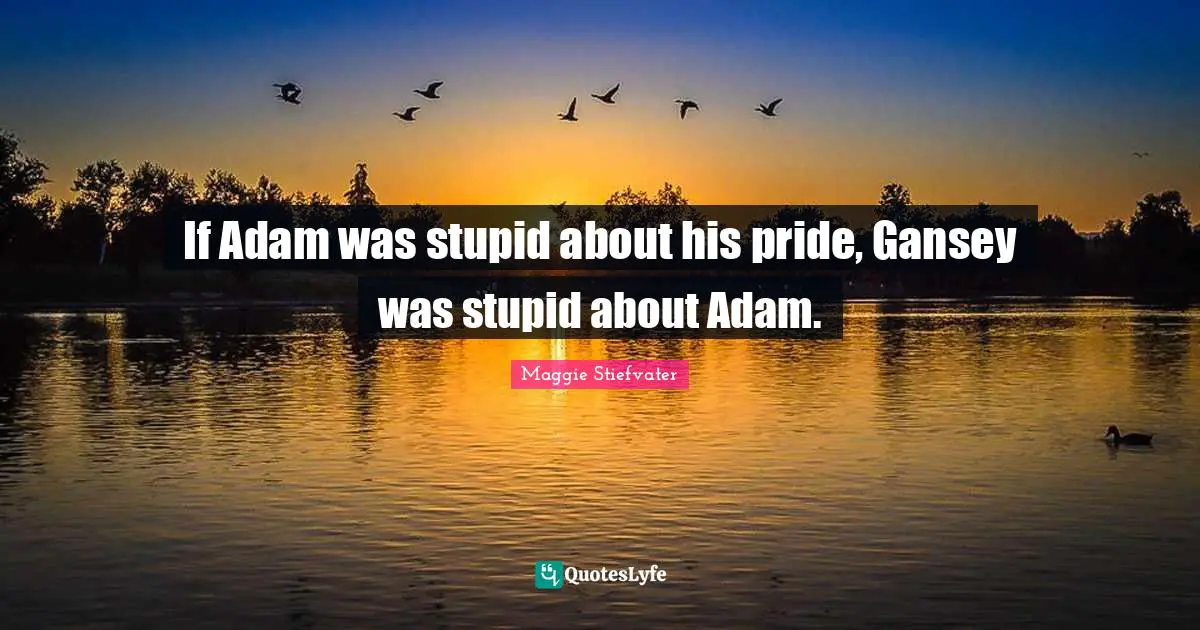 If Adam was stupid about his pride, Gansey was stupid about Adam.