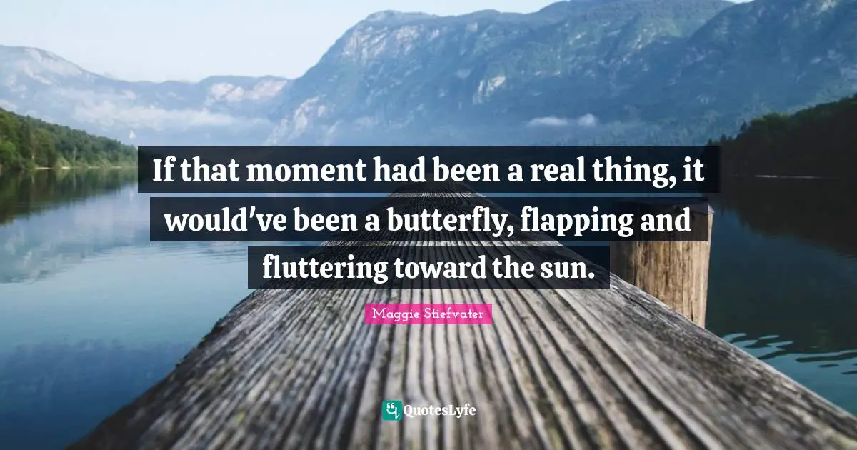 If that moment had been a real thing, it would've been a butterfly, flapping and fluttering toward the sun.