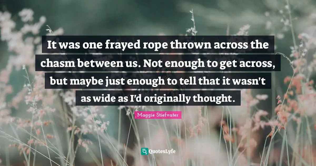 It was one frayed rope thrown across the chasm between us. Not enough to get across, but maybe just enough to tell that it wasn't as wide as I'd originally thought.