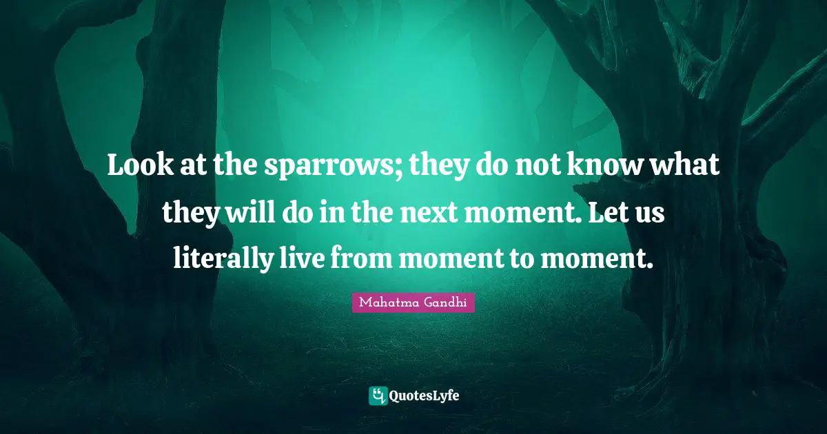 Look at the sparrows; they do not know what they will do in the next moment. Let us literally live from moment to moment.