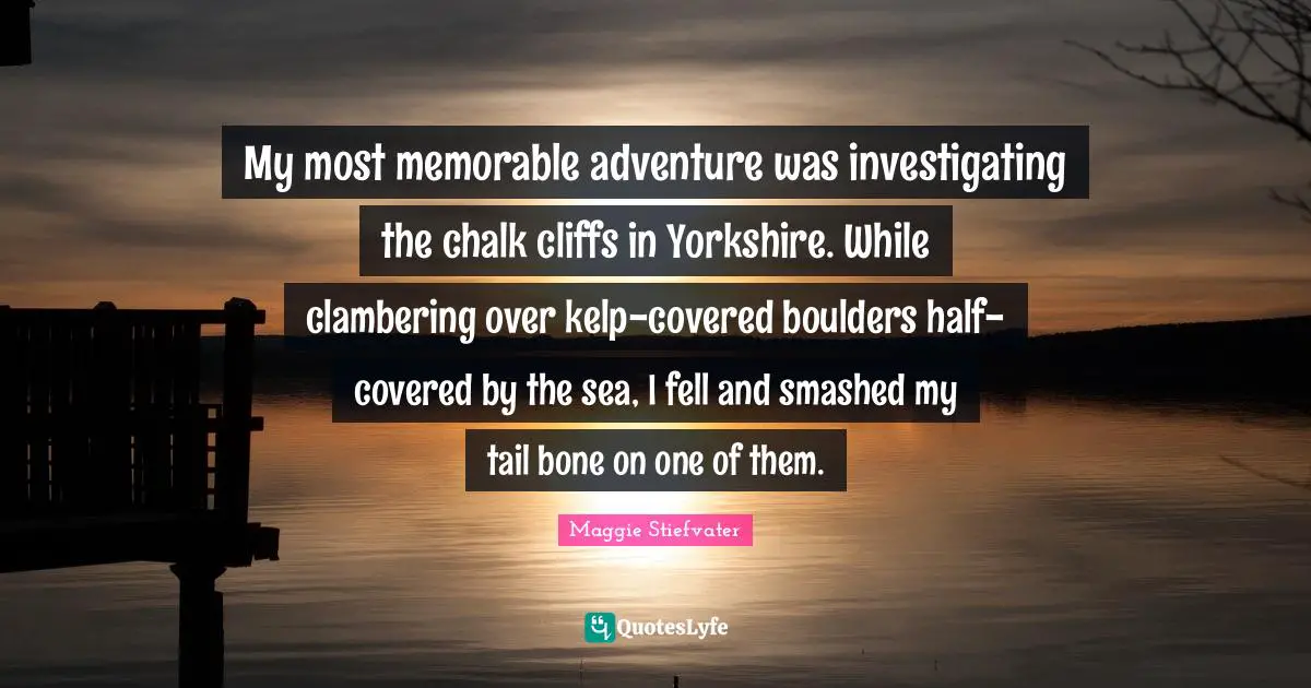 My most memorable adventure was investigating the chalk cliffs in Yorkshire. While clambering over kelp-covered boulders half-covered by the sea, I fell and smashed my tail bone on one of them.