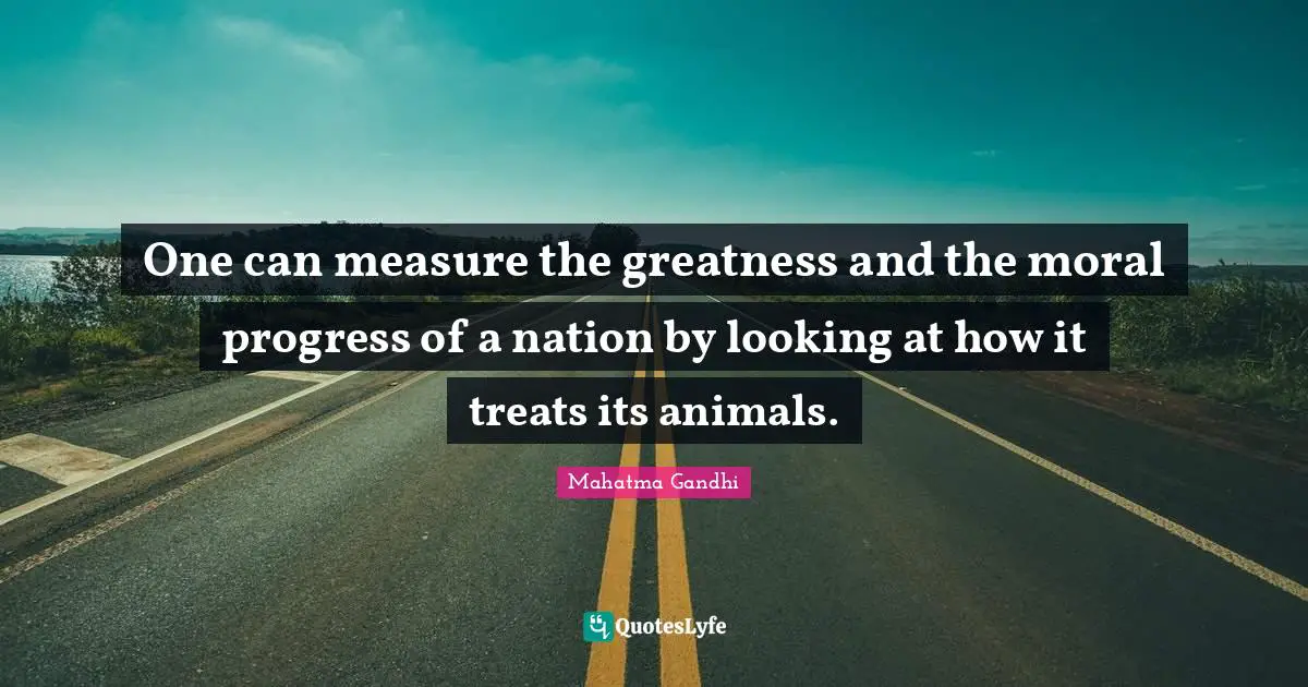 One can measure the greatness and the moral progress of a nation by looking at how it treats its animals.