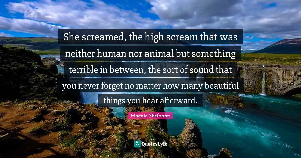 She screamed, the high scream that was neither human nor animal but something terrible in between, the sort of sound that you never forget no matter how many beautiful things you hear afterward.