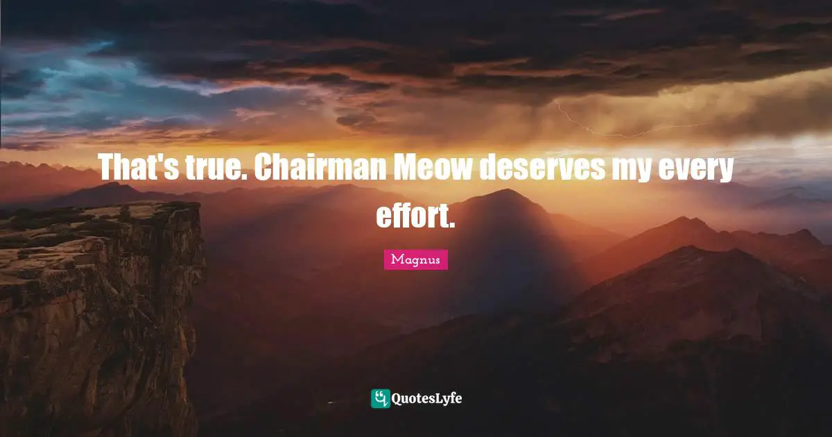 That's true. Chairman Meow deserves my every effort.