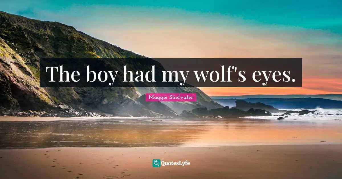 The boy had my wolf's eyes.