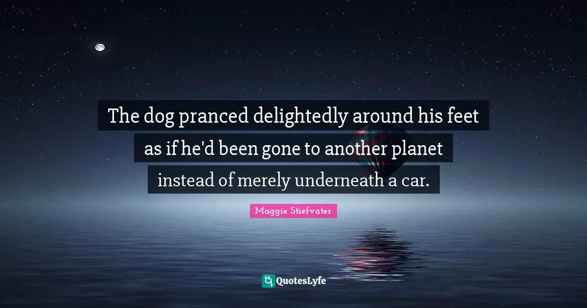 The dog pranced delightedly around his feet as if he'd been gone to another planet instead of merely underneath a car.