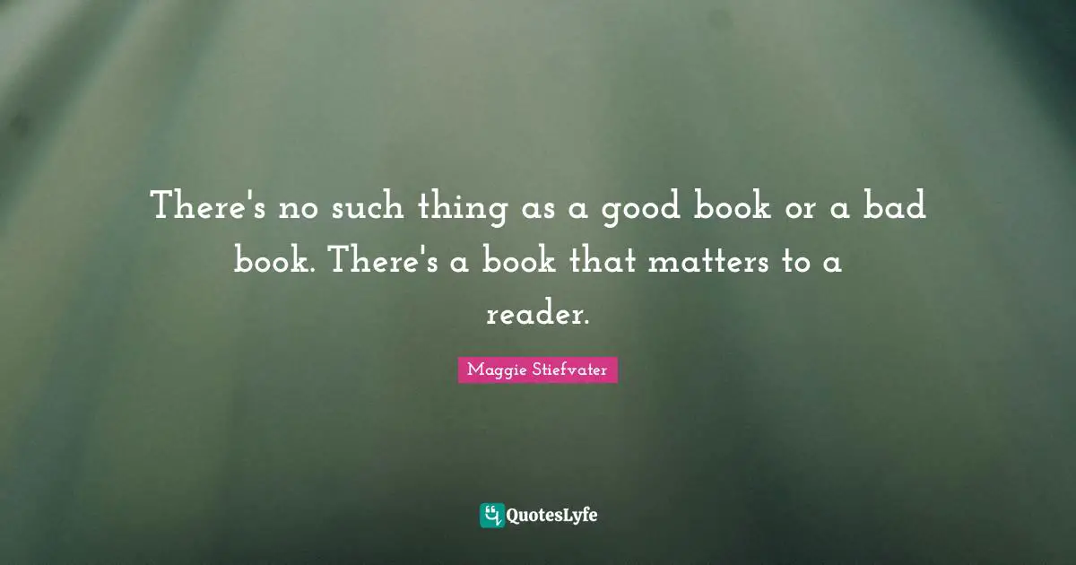 There's no such thing as a good book or a bad book. There's a book that matters to a reader.