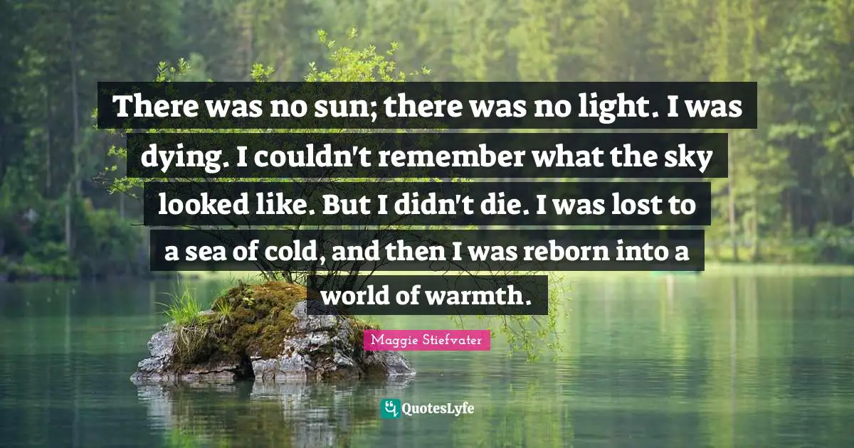 There was no sun; there was no light. I was dying. I couldn't remember what the sky looked like. But I didn't die. I was lost to a sea of cold, and then I was reborn into a world of warmth.
