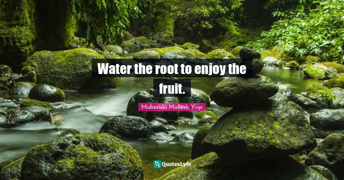Water the root to enjoy the fruit.
