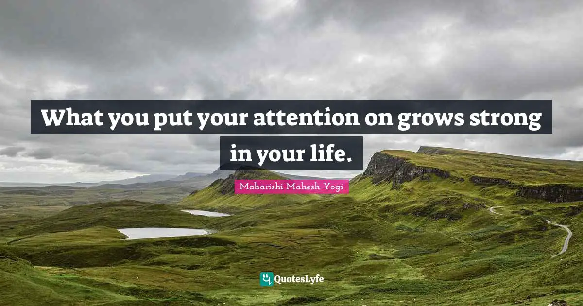What you put your attention on grows strong in your life.