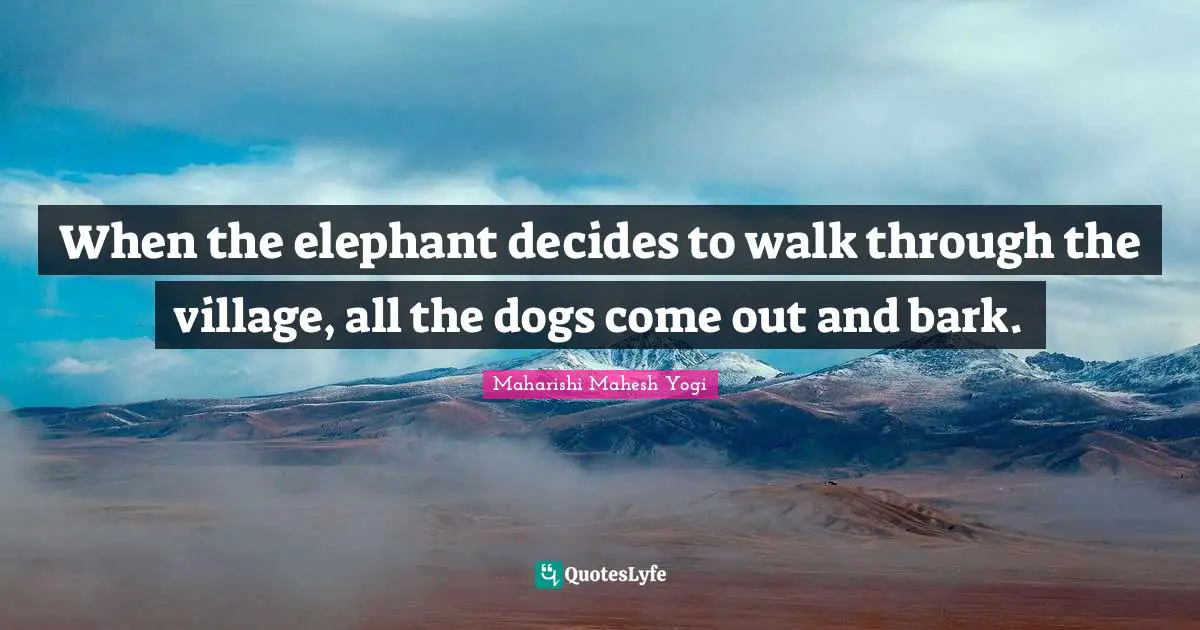 When the elephant decides to walk through the village, all the dogs come out and bark.