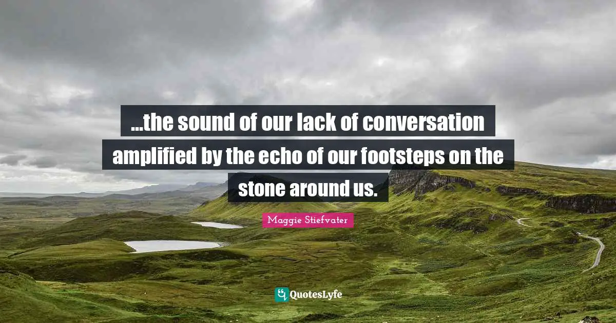 ...the sound of our lack of conversation amplified by the echo of our footsteps on the stone around us.