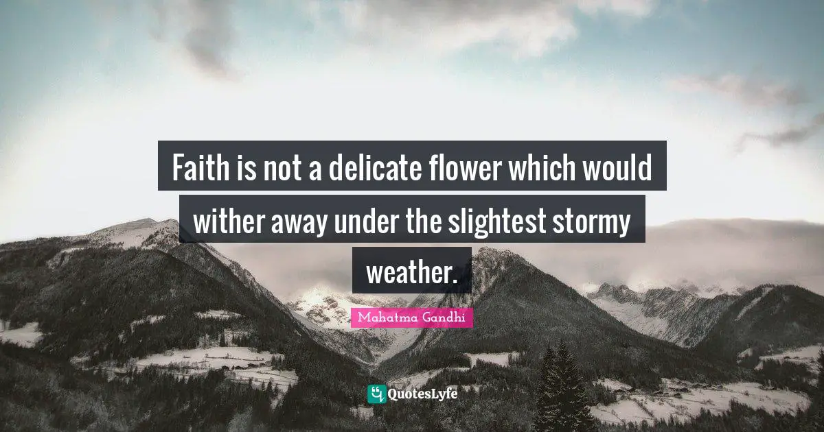 Faith is not a delicate flower which would wither away under the slightest stormy weather.