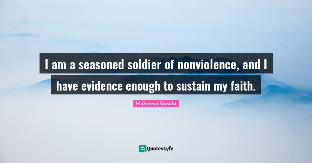 I am a seasoned soldier of nonviolence, and I have evidence enough to sustain my faith.