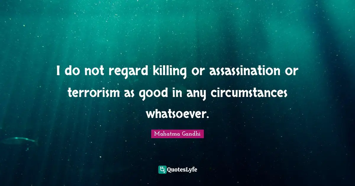 I do not regard killing or assassination or terrorism as good in any circumstances whatsoever.