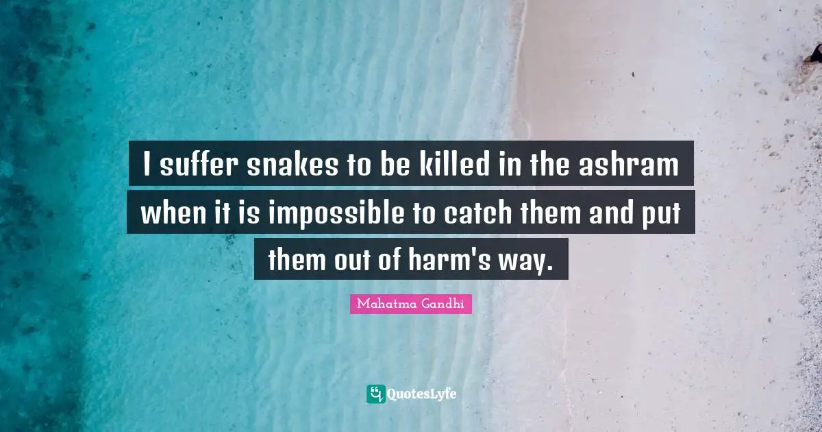I suffer snakes to be killed in the ashram when it is impossible to catch them and put them out of harm's way.