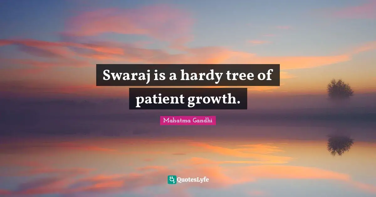 Swaraj is a hardy tree of patient growth.